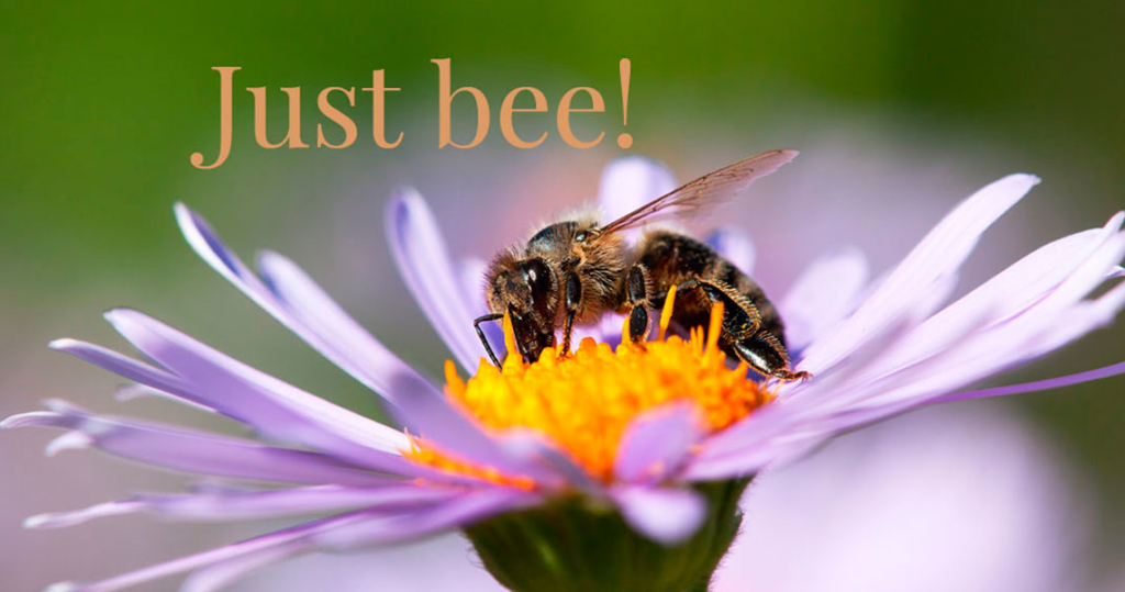 Just bee