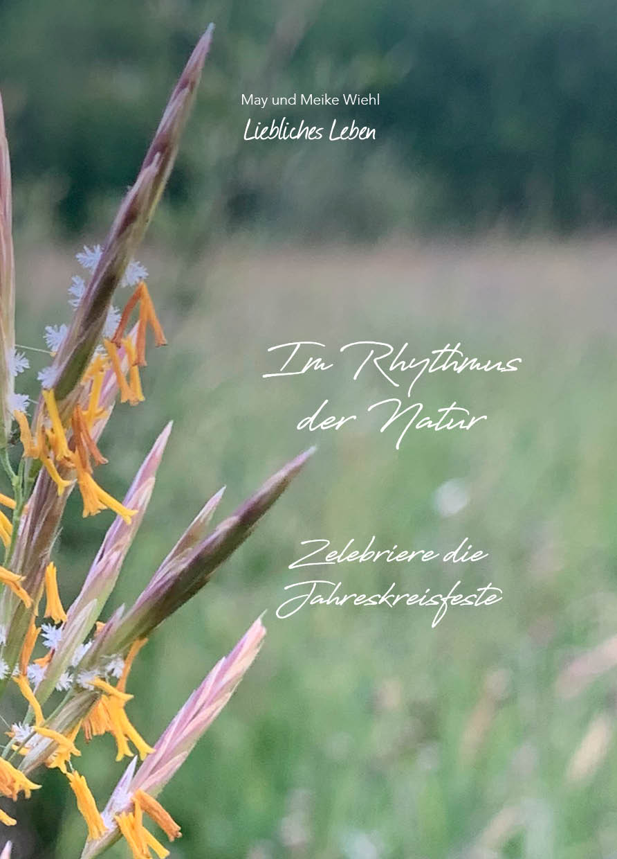 LieblichesBuch_Cover_AusserInnen_Webshop2