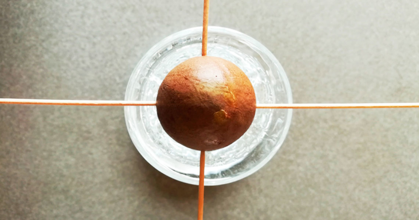 Die Magie rund um den Avocadokern!