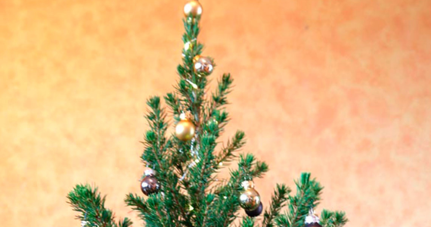 Der nachhaltige Weihnachtsbaum!