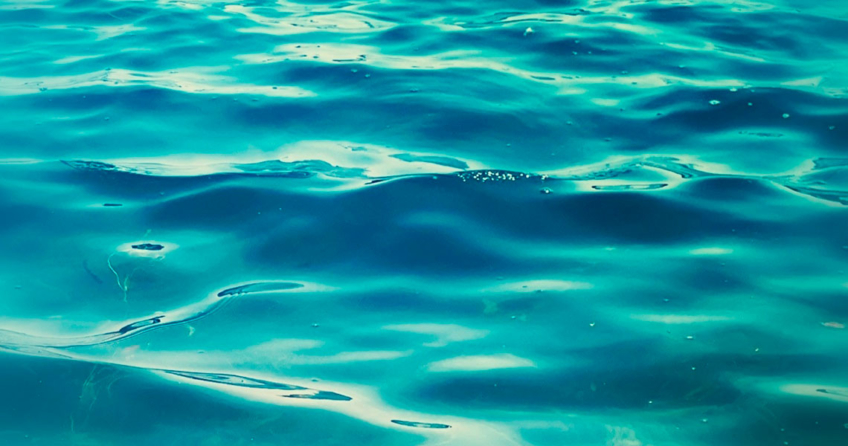 Wasser ist Leben!